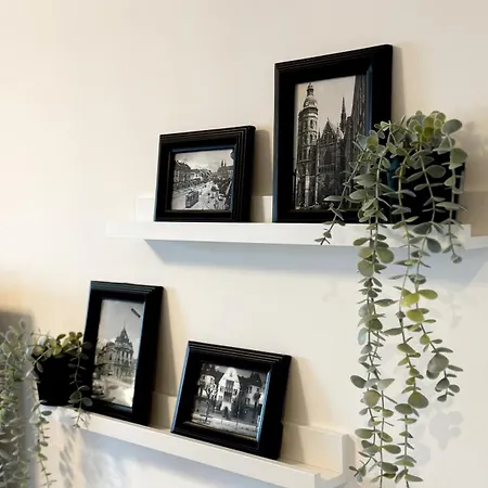 Palace Apartment, Center Of コシツェ